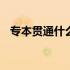 专本贯通什么时候报名 专本贯通什么意思