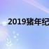 2019猪年纪念币多少钱 2019猪年纪念币