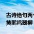 古诗绝句两个黄鹂鸣翠柳笔记 古诗绝句两个黄鹂鸣翠柳