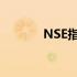 NSE指标偏高 nse是什么指标