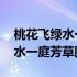 桃花飞绿水一庭芳草围新绿啥意思 桃花飞绿水一庭芳草围新绿