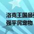 洛克王国最强平民过星辰塔宠物 洛克王国最强平民宠物