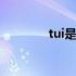 tui是什么拼音 tui是什么梗