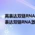 高表达双链RNA激活凋亡寡聚体的转基因猪的培育(关于高表达双链RNA激活凋亡寡聚体的转基因猪的培育简述)