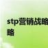 stp营销战略和4p营销战略的分析 stp营销战略