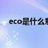 eco是什么意思空调上的 eco是什么意思