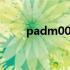 padm00是什么型号手机 padm00