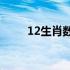 12生肖数字表图2022 12生肖数字