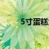 5寸蛋糕大概多大（5寸蛋糕多大）