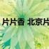 片片香 北京片皮烤鸭=宣汉（片片香是什么）