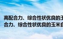 高配合力、综合性状优良的玉米自交系“黄早四”(关于高配合力、综合性状优良的玉米自交系“黄早四”简述)