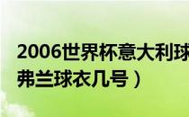 2006世界杯意大利球衣（2014世界杯世界杯弗兰球衣几号）