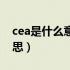 cea是什么意思正常值是多少（cea是什么意思）