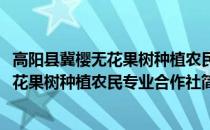 高阳县冀樱无花果树种植农民专业合作社(关于高阳县冀樱无花果树种植农民专业合作社简述)