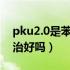 pku2.0是苯丙酮尿症吗（pku苯丙酮尿症能治好吗）