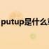 putup是什么意思（put up什么意思怎么用）