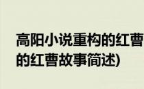 高阳小说重构的红曹故事(关于高阳小说重构的红曹故事简述)