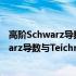 高阶Schwarz导数与Teichmuller空间紧化(关于高阶Schwarz导数与Teichmuller空间紧化简述)