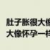 肚子胀很大像怀孕一样是怎么回事（肚子胀很大像怀孕一样）