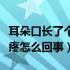 耳朵口长了个疙瘩会疼（耳朵口长了个疙瘩很疼怎么回事）