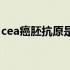 cea癌胚抗原是什么癌（什么是cea癌胚抗原）