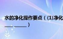 水的净化操作要点（(1)净化水的步骤 ________ ________ ________ ______）