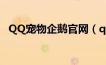 QQ宠物企鹅官网（qq宠物企鹅官网领养）