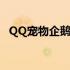 QQ宠物企鹅官网（qq宠物企鹅官网领养）