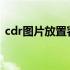 cdr图片放置容器（cdr2019图片置入容器）