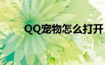 QQ宠物怎么打开（qq宠物打不开）