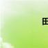 田龙巴布变态斯符拔