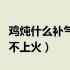 鸡炖什么补气血不上火视频（鸡炖什么补气血不上火）