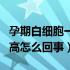 孕期白细胞一直偏高怎么回事（孕期白细胞偏高怎么回事）