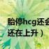 胎停hcg还会上升吗（胎停了为什么hcg每天还在上升）