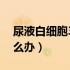 尿液白细胞3个加号（尿液白细胞3个加号怎么办）