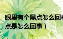 眼里有个黑点怎么回事跟着眼球动（眼球有黑点是怎么回事）