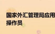 国家外汇管理局应用服务平台,金融机构业务操作员