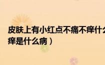 皮肤上有小红点不痛不痒什么原因（皮肤上长小红点不痛不痒是什么病）