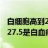 白细胞高到27.98是不是白血病啊（白细胞高27.5是白血病吗）