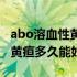 abo溶血性黄疸会持续多长时间（abo溶血性黄疸多久能好）