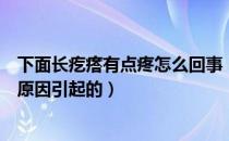 下面长疙瘩有点疼怎么回事（下面长了个疙瘩有点疼是什么原因引起的）