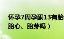 怀孕7周孕酮13有胎心胎芽（怀孕13周才见胎心、胎芽吗）