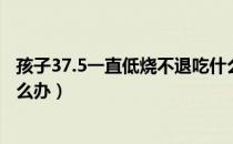 孩子37.5一直低烧不退吃什么药（孩子37.5一直低烧不退怎么办）