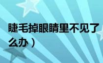 睫毛掉眼睛里不见了（睫毛掉眼睛里不见了怎么办）