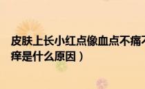 皮肤上长小红点像血点不痛不痒（皮肤上有小红血点不痛不痒是什么原因）