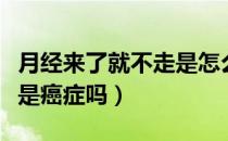 月经来了就不走是怎么个事（月经来了就不走是癌症吗）