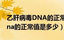 乙肝病毒DNA的正常值是多少?（乙肝病毒dna的正常值是多少）