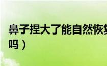 鼻子捏大了能自然恢复吗（鼻子捏大了能恢复吗）