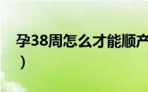 孕38周怎么才能顺产（孕38周怎么才能顺产）