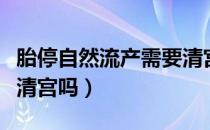 胎停自然流产需要清宫吗（自然流产后需要做清宫吗）